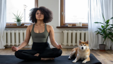 Doga, the ideal Yoga for relaxation of dogs