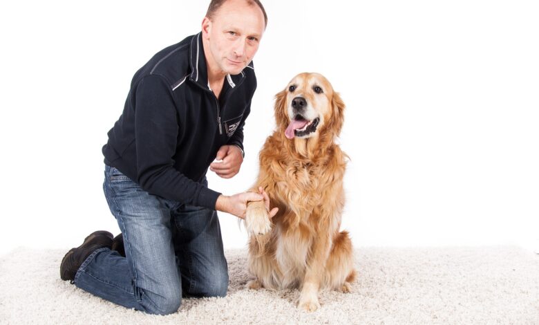 9 Easy Tricks You Can Teach Your Dog at Home