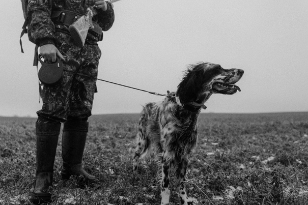 How to Train Your Dog to Hunt