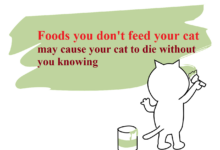 10 Foods you should not feed your cat