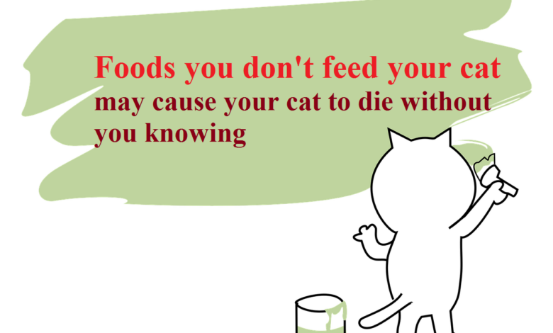 10 Foods you should not feed your cat