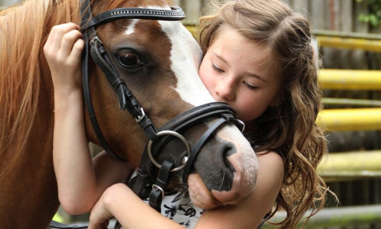 Bringing your horse home: the first days