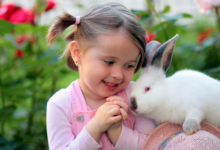 10 Signs Your Rabbit Really Loves You