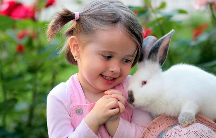 10 Signs Your Rabbit Really Loves You