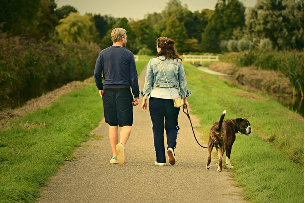 How to teach your dog the Speak command,