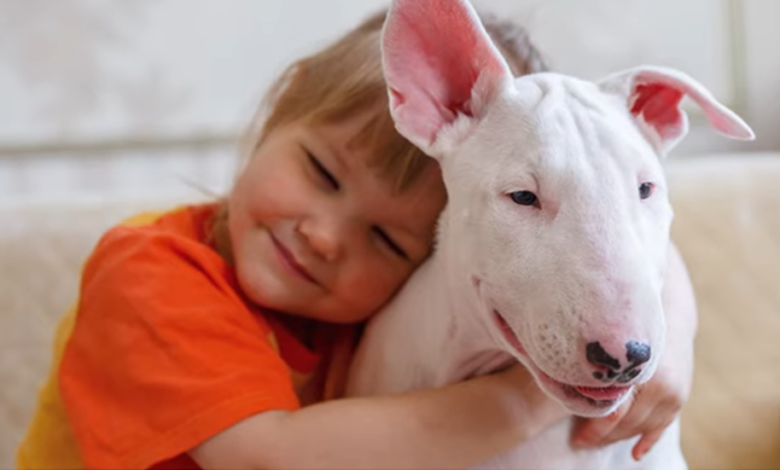 10 Important Bull Terrier Facts Every New Mom Should Know